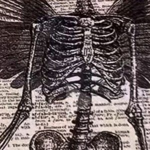 Meet your Posher, Emilee